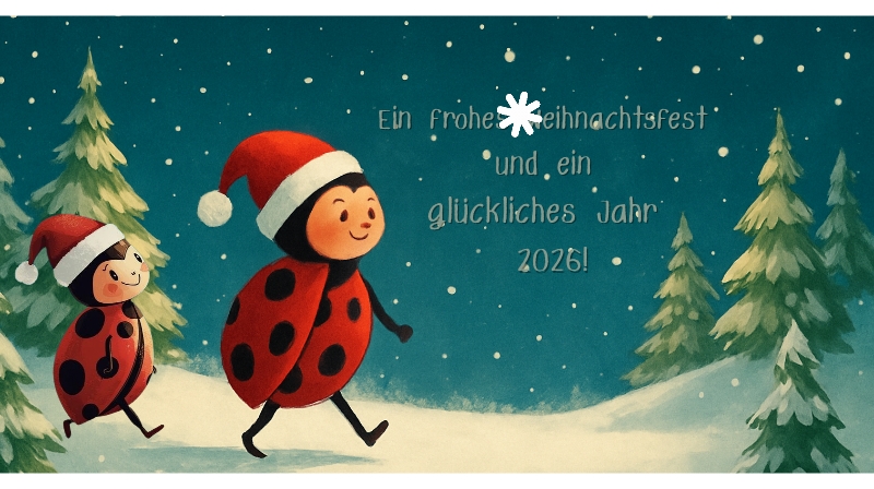 Schöne Weihnachtsferien